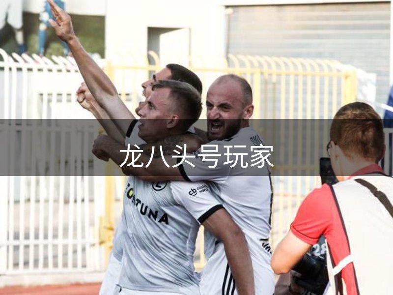 龙八(头号玩家)唯一官方网站