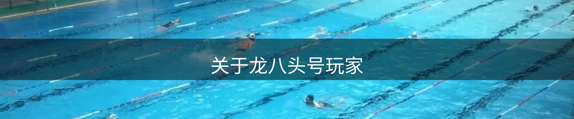 关于龙八头号玩家